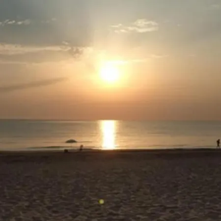 Sun & Sea * Daimus